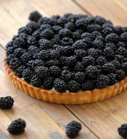 Blackberry Tart Recipe