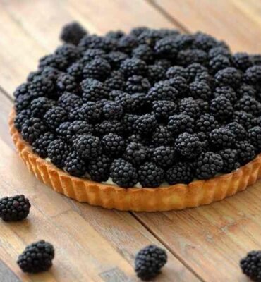 Blackberry Tart Recipe