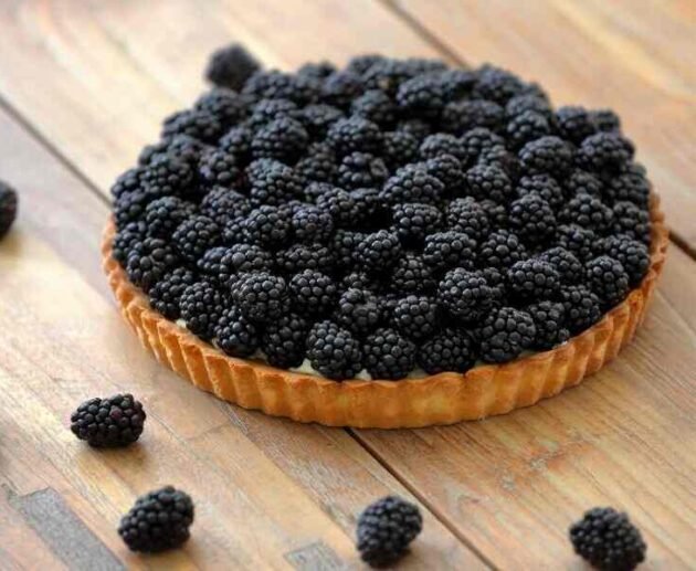 Blackberry Tart Recipe