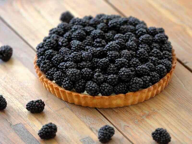 Blackberry Tart Recipe