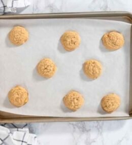 Graham Cracker Cookies