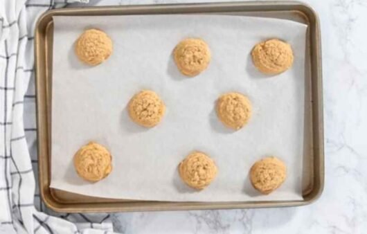 Graham Cracker Cookies