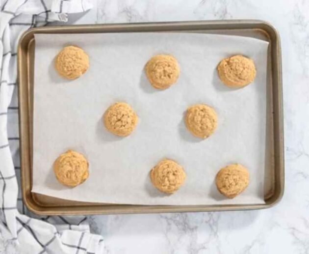 Graham Cracker Cookies