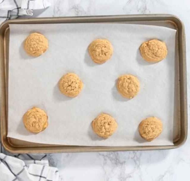 Graham Cracker Cookies