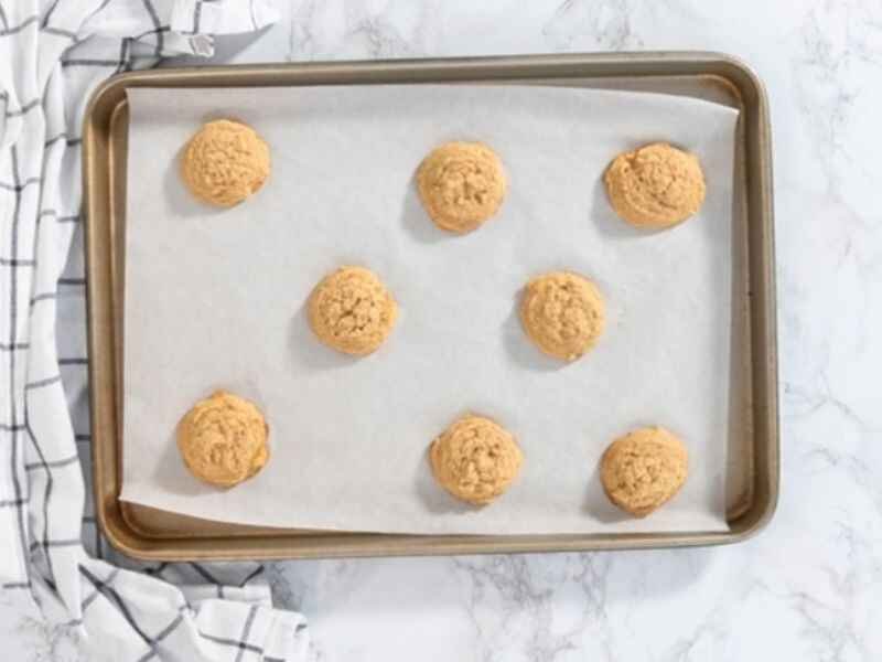 Graham Cracker Cookies