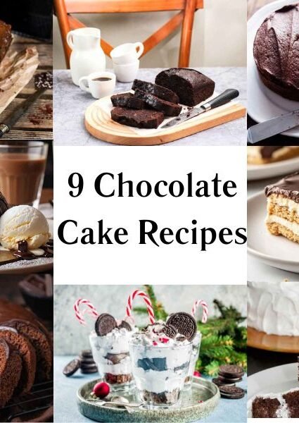 9 Chocolate Cake Recipes