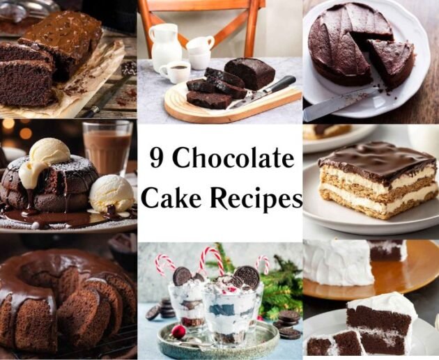 9 Chocolate Cake Recipes