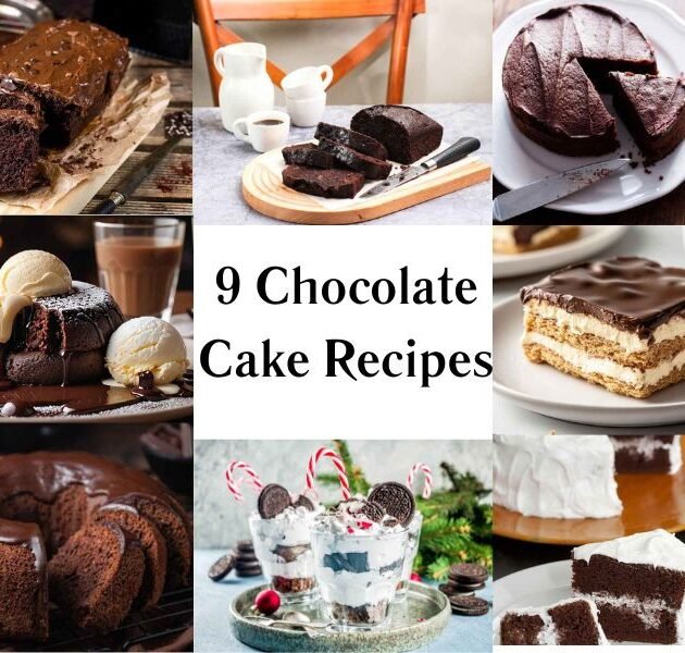 9 Chocolate Cake Recipes