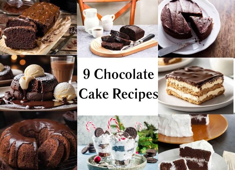 9 Chocolate Cake Recipes