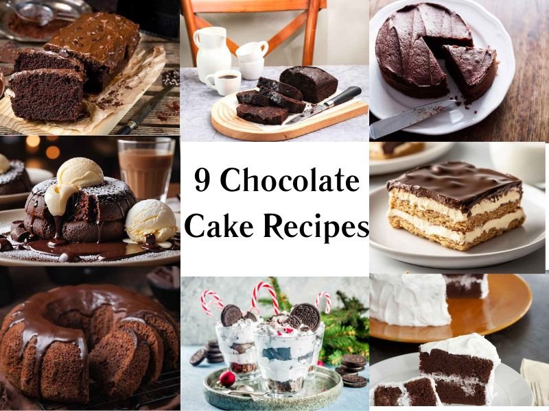 9 Chocolate Cake Recipes